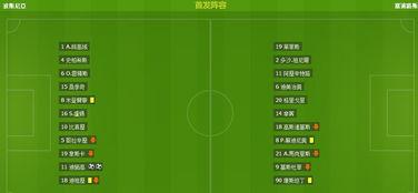 世欧预第一阶段H组第10轮 奥地利VS波黑,奥地利与波黑激战正酣