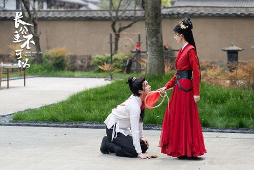 长公主不可以,揭秘宫廷深处的神秘传说