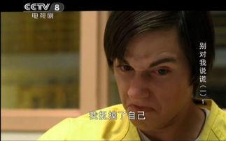 千谎百计 第一季,揭秘谎言背后的真相