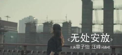 无处安放,探寻现代青年的迷茫与成长